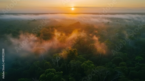 Aerial view of the Amazon forest at sunset, soft fog enveloping the trees with the sun glowing at the horizon