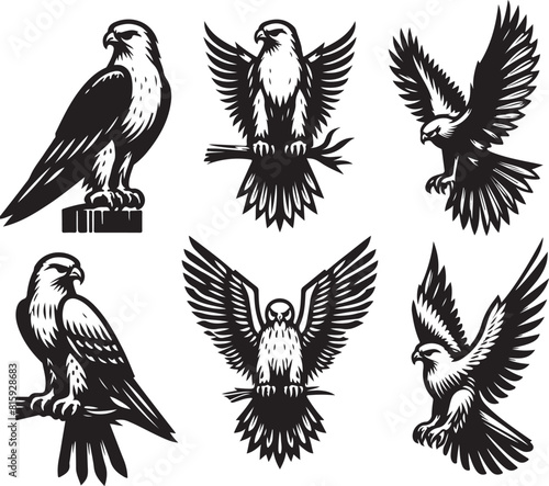 falcon vector ilastration