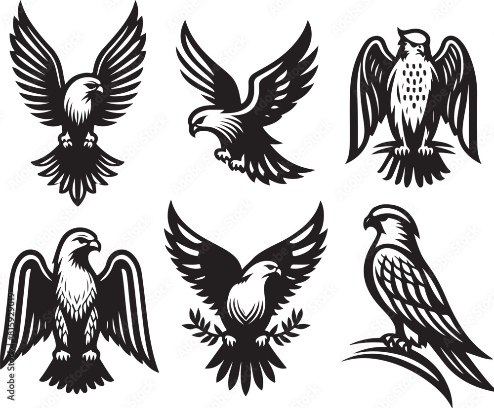 Obraz premium falcon vector ilastration