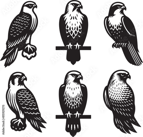 falcon vector ilastration