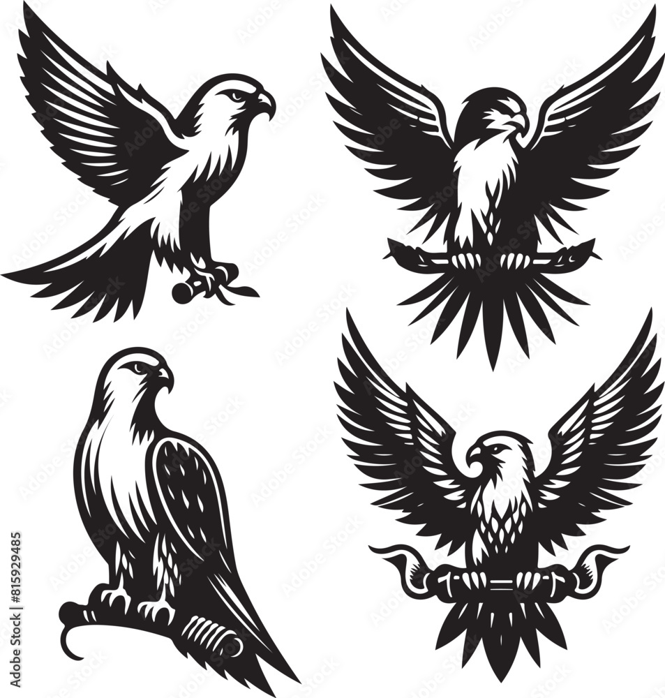 Obraz premium falcon vector ilastration