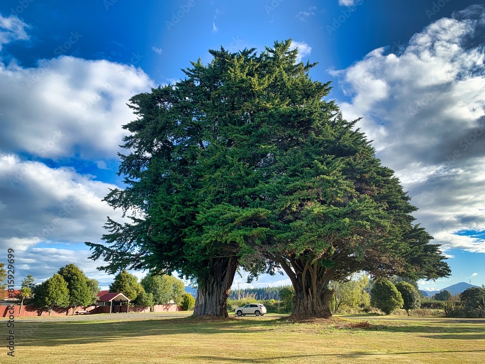 Naklejka premium New Zealand