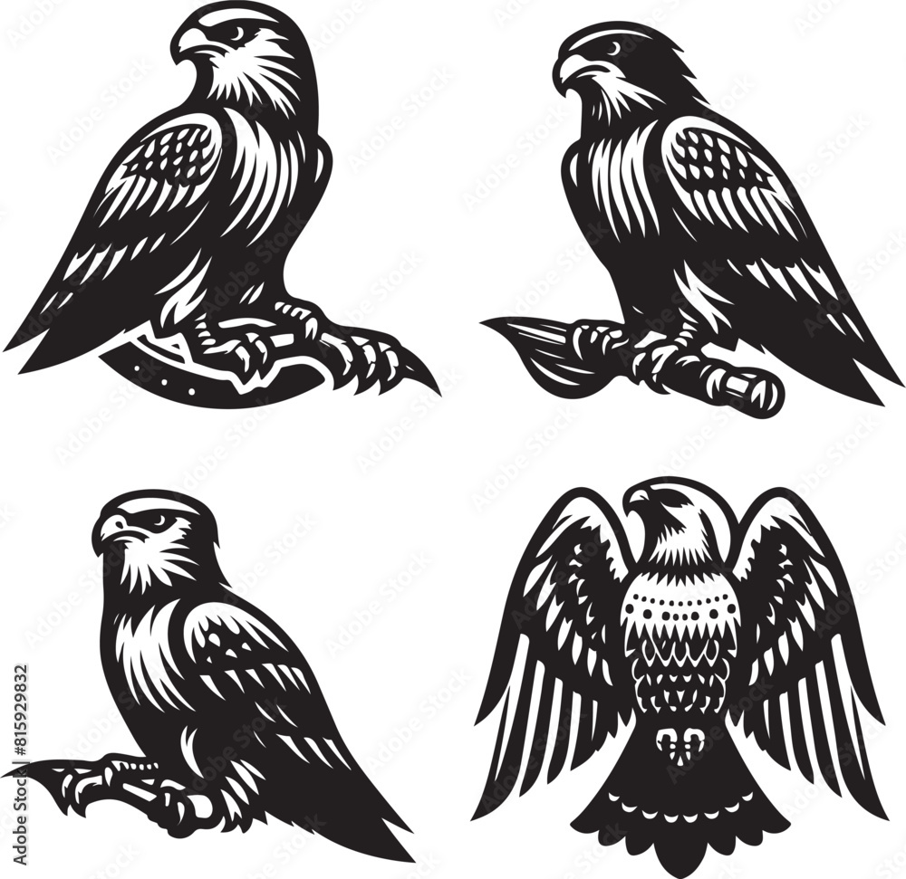 Obraz premium falcon vector ilastration
