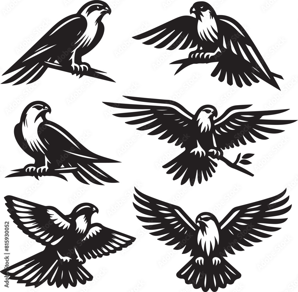 Obraz premium falcon vector ilastration