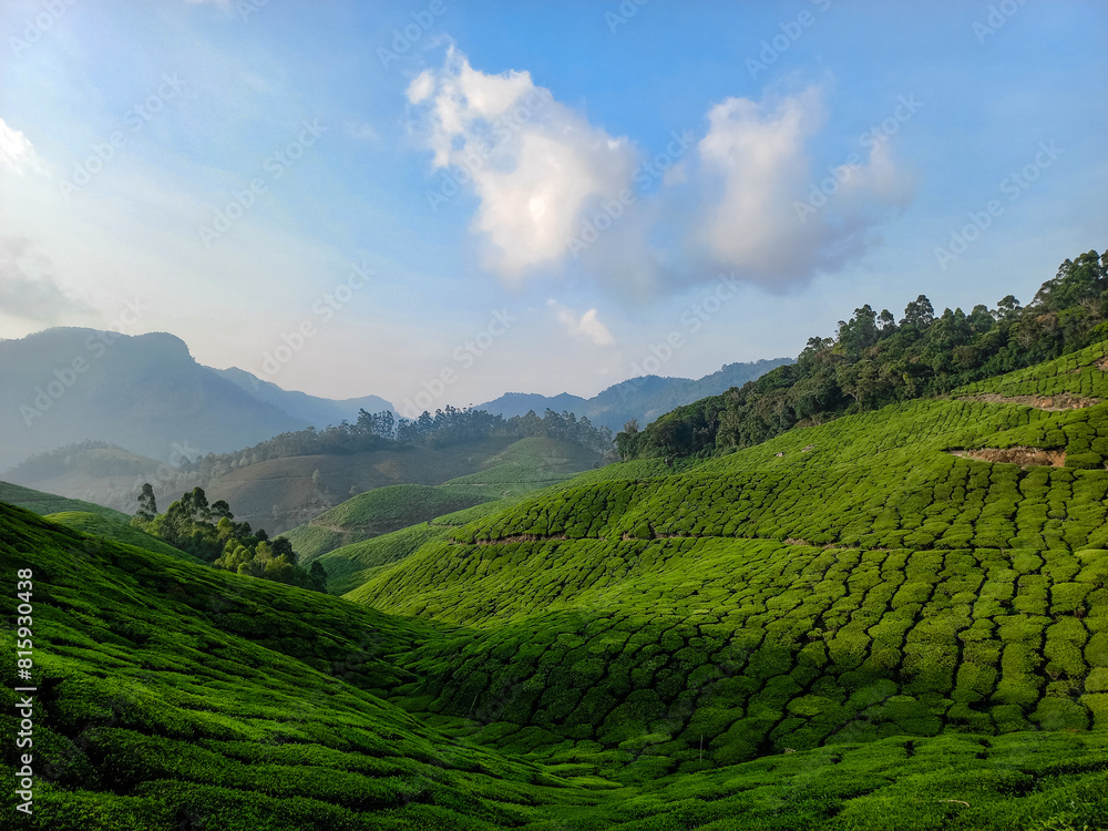 Green Serenity: Exploring the Enchanting Tea Plantations of Munnar, situated in Kerala. Green Serenity: Exploring the Enchanting Tea Plantations of Munnar, situated in Kerala.