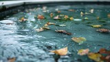Leaves and algae on the surface of a small outdoor pool that requires maintenance
