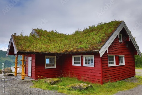 Norway sod roof building photo