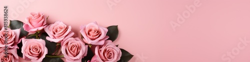 Horizontal banner of pink roses in the corner on a pink background with copy space for text. Greeting card for Women s Day and Mother s Day