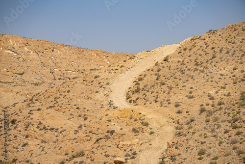 A Path in the Desert