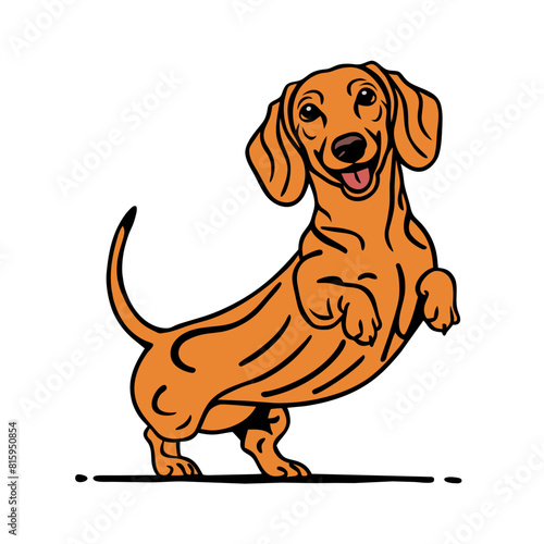 Dachshund Doodle Art: Quirky Illustration of a Loyal Sausage Dog