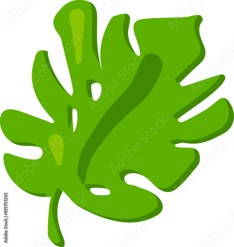 Holey monstera leaf drawn by child. Bright childish careless leaf of exotic plant monstera drawing for design of festive spring banner. Flat hand drawn vector element isolated on white background