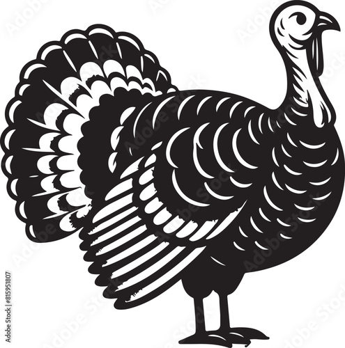 turkey ilastration