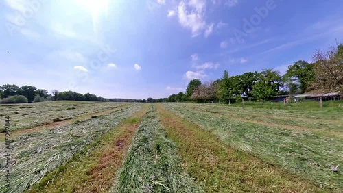 Drying hay on the Field photo