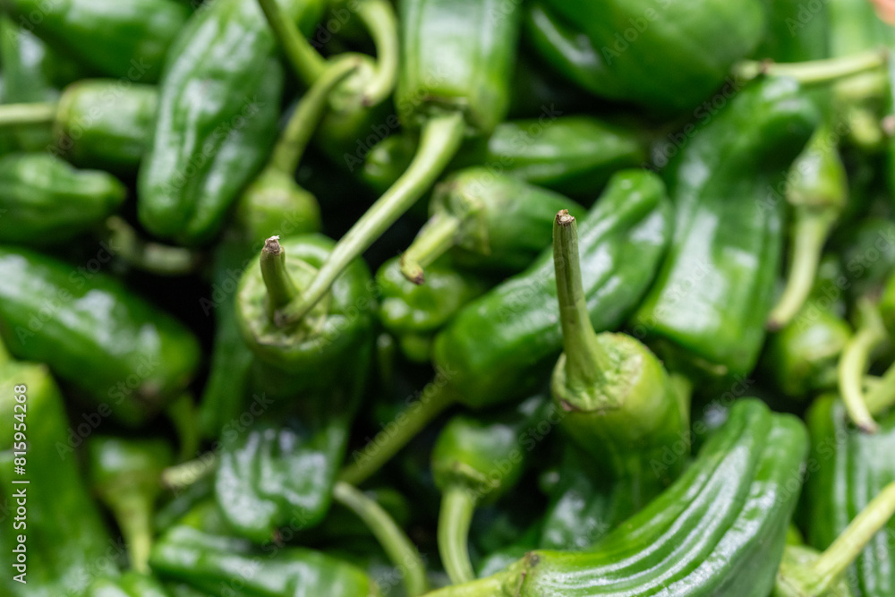 Fresh and Healthy Green Peppers: Nutritious Snack Vegetables Available at the Market. Organic, Tasty, and Full of Flavor, Perfect for a Nutritious Diet and Culinary Delights. the Best in Fresh Produce Fresh and Healthy Green Peppers: Nutritious Snack Vegetables Available at the Market. Organic, Tasty, and Full of Flavor, Perfect for a Nutritious Diet and Culinary Delights. the Best in Fresh Produce
