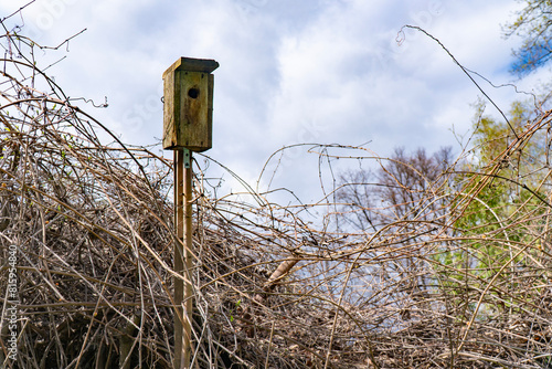 A rustic wooden birdhouse perched atop a dense, tangled hedge of wild bushes under a cloudy sky, depicting a serene habitat for wildlife in a natural setting photo