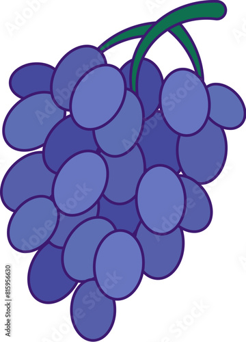 Picking summer grapes berries for winery. Bunch of ripe juicy grapes. Summer holiday icon. Simple stroke vector element isolated on white background