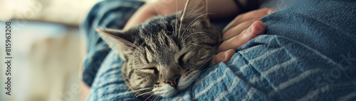 A moment of vet kindness, soothing a silver tabby, showcasing tender pet care