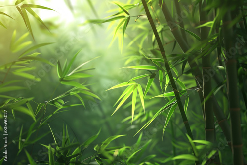 A serene bamboo forest bathed in soft sunlight  with slender bamboo stalks stretching towards the sky and lush green foliage filtering the dappled light  creating a tranquil oasis of natural beauty.