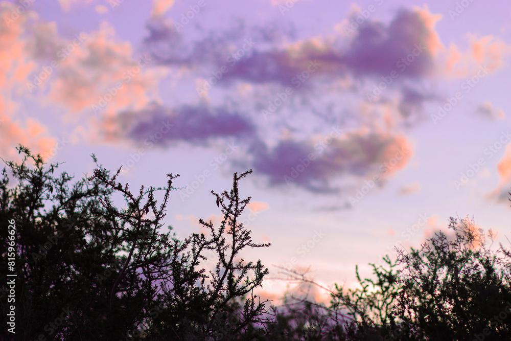 Sky during sunset with clouds painted in pink and lilac