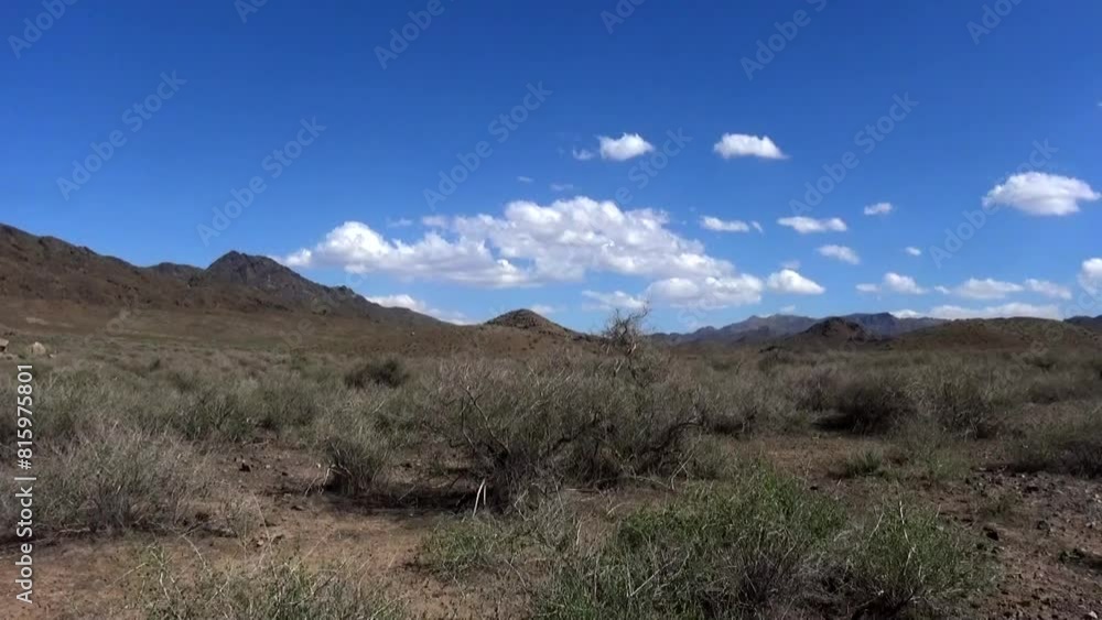 Ground level view of a majestic valley with a solitary tree swaying in the brisk wind under a clear blue sky. Ground level view of a majestic valley with a solitary tree swaying in the brisk wind under a clear blue sky.