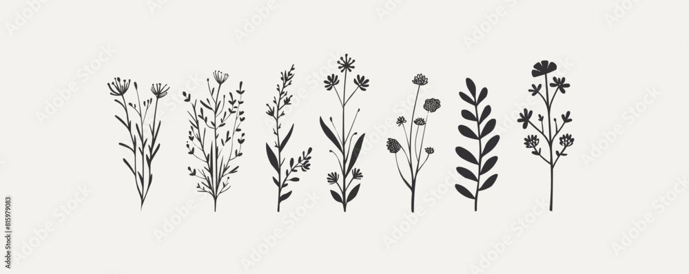 Wild herb, flowers and grass hand drawn in doodle style. vector simple illustration