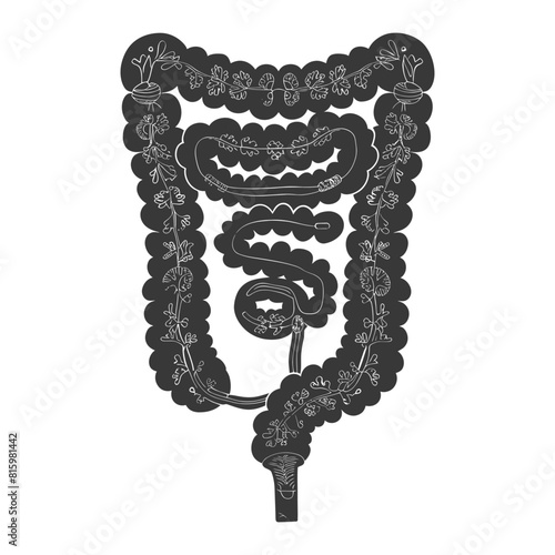 Silhouette human large intestine black color only