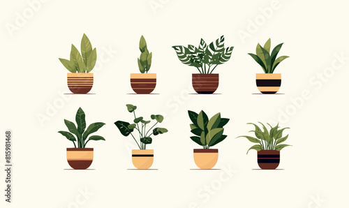 houseplant pot set vector flat minimalistic isolated illustration
