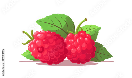 Raspberry vector flat minimalistic isolated vector style illustration