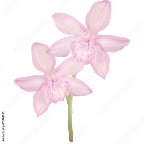 Orchids purple  flower art