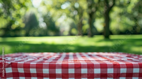 The Red Checkered Picnic Tablecloth