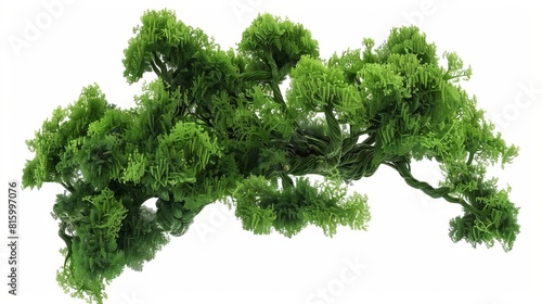 macro view of lush green bryophyte tree with intricate details isolated on white with alpha channel 3d render
