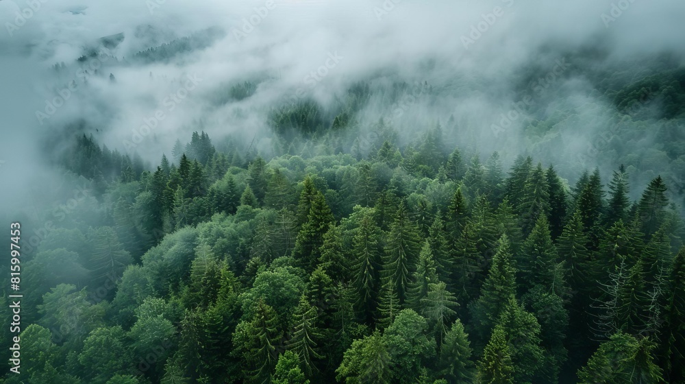 majestic aerial view of lush mountain forest enveloped by soft clouds landscape photography majestic aerial view of lush mountain forest enveloped by soft clouds landscape photography