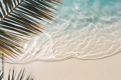 Top view of tropical leaf shadow on water surface.