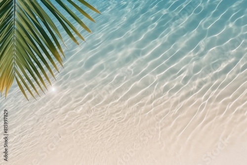 Top view of tropical leaf shadow on water surface.