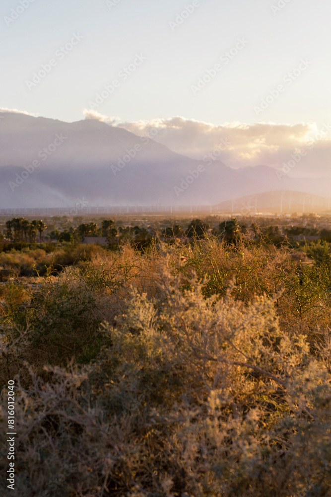 iconic and breathtaking sunset outside Palm Springs along the highway road in the evening. Vivid sky colors and vegetation