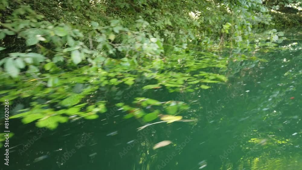 sliding low over the calm water of a wooded canyon, by kayak on a sunny day sliding low over the calm water of a wooded canyon, by kayak on a sunny day