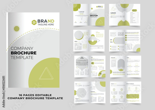 16 pages Professional company profile brochure design