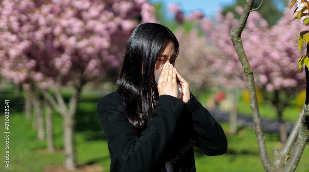 A Japanese woman suffers from seasonal allergies, sneezing amidst blooming sakura trees in the park. A Japanese woman suffers from seasonal allergies, sneezing amidst blooming sakura trees in the park.