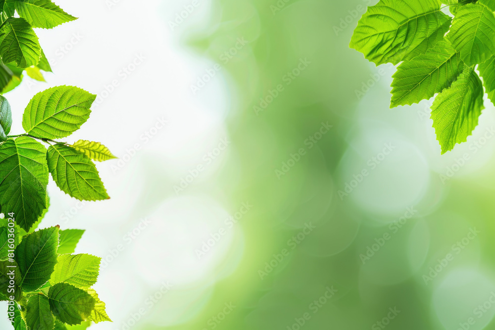 Green leaves background. Nature, ecology and healthy environment concept Green leaves background. Nature, ecology and healthy environment concept