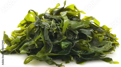 Sea Moss, irish wild harvested dried seaweed. Generative Ai