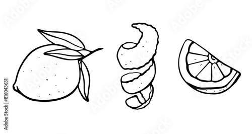 Lemon with leaves, peel and slice hand drawn illustration. Black and white line drawing isolated on background. Citrus fruit illustration for design and print. 