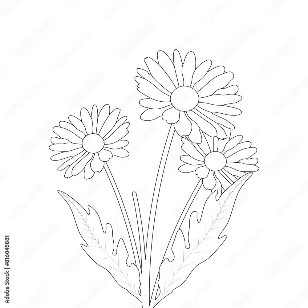 illustration of a flower illustration of a flower