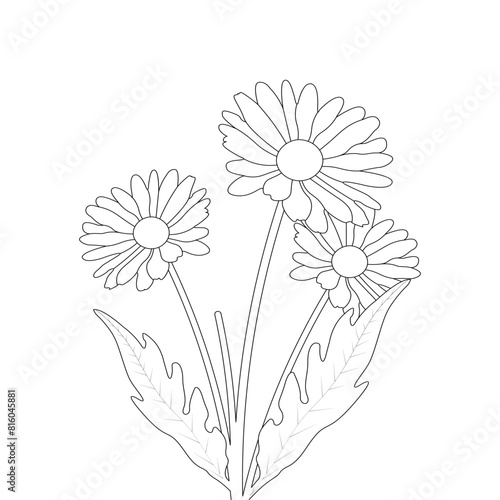 illustration of a flower