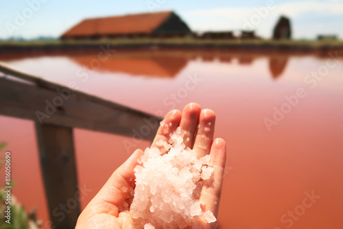 Hand holding salt in front of the main bathing, swimming pool with intense pink color at the Burgas Salt Pans, Lake Atanasovsko, Atanasovo, Burgas, Bourgas, Bulgaria
