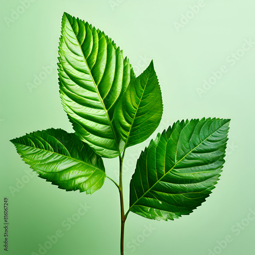 a vibrant green plant leaf is set against a pale green background generative ai photo