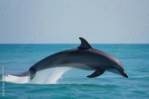 dolphin leaping gracefully out of the turquoise sea. The backdrop of the clear sky adds to the sense of freedom and beauty in the natural world