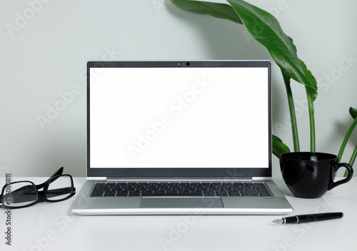 Laptop computer on a white desk with a green plant