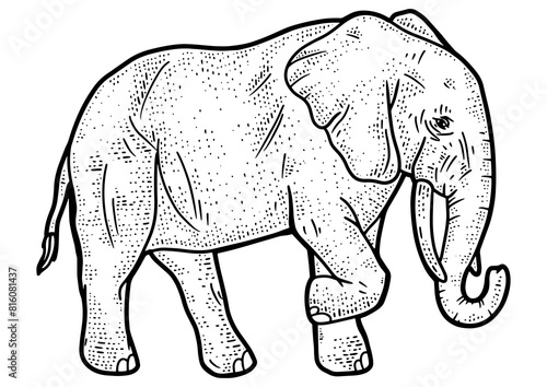 elephant animal sketch engraving PNG illustration. T-shirt apparel print design. Scratch board imitation. Black and white hand drawn image.