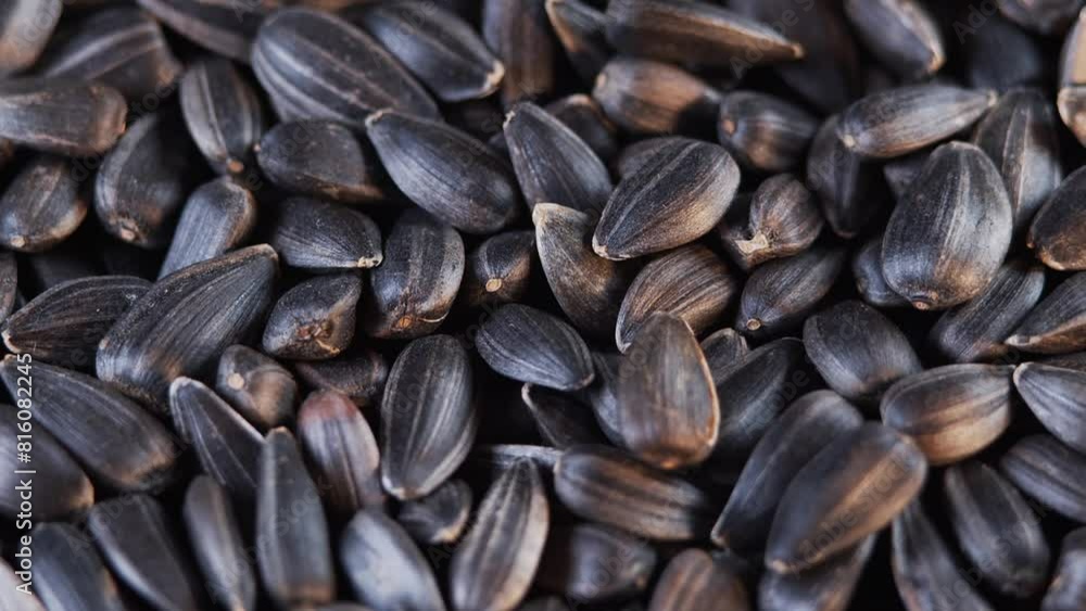 The sunflower seeds on a plate close-up. The sunflower seeds after harvest. Pile of Dried Sunflower Unpeeled Seeds, a Healthy Source of Vitamins in Vegan Food. The sunflower seeds on a plate close-up. The sunflower seeds after harvest. Pile of Dried Sunflower Unpeeled Seeds, a Healthy Source of Vitamins in Vegan Food.