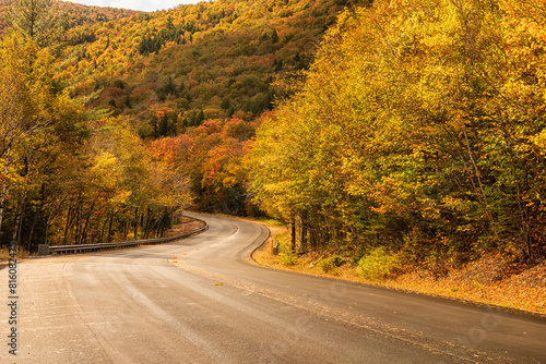 Deserted road in the autumn mountains. Traveling around the USA
